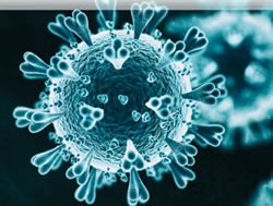 CSIRO sets up ‘Team Australia’ for next pandemic