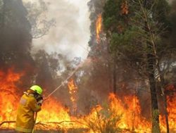 Bushfire and storm season back a month