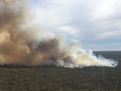 Forest firies offer bushfire burning advice