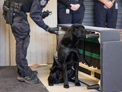 Detection dogs gather for a symposium