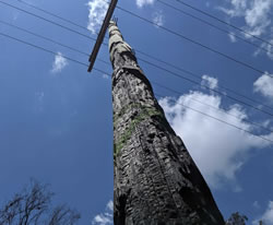 Energex calls landholders to take care