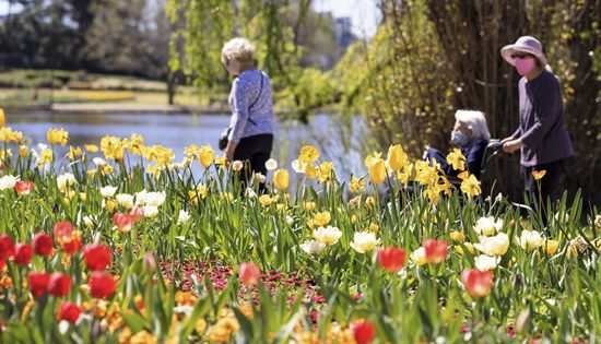 Blooming in spring as Floriade returns