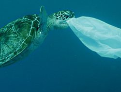 Next plastic ban to warm up to November