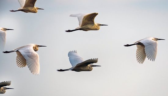 Want to be a great manager? Work on your leadership skills