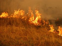 Grass fires light up for bush fire season