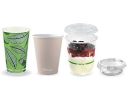 Single-use plastic cups banned in the ban