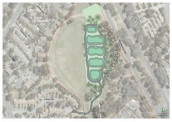 Wetland planned for Belconnen Oval