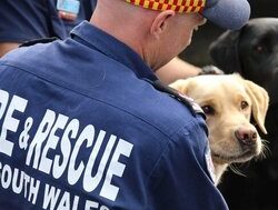 Firies and Guide Dogs show kids fire safety
