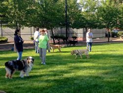 New dog parks not to be sniffed at