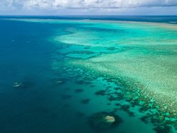 PS members sail north for reef study