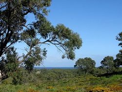 Program’s success in Perth bush protection