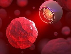 Magnetic bacteria ‘bots’ could deliver drugs to fight tumours