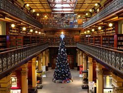 State Library books a tree for Christmas