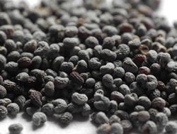 Poppy seeds overdose prompts Health warning