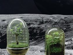 Humans are going back to the Moon, but how will we feed them?