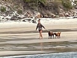 Woman faces fine over island dog exercise