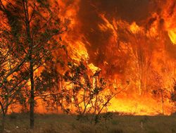Water warning as bushfire season looms