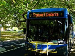 Canberra buses on their summer holiday