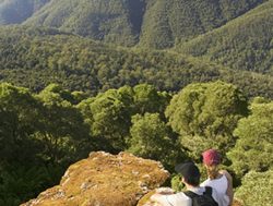 NRC report finds NSW forests threatened