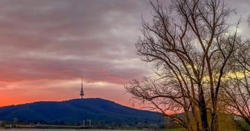 Summer of holiday ideas in Canberra