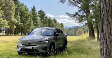 The silent electric Volvo - clean, green and not an animal to be seen