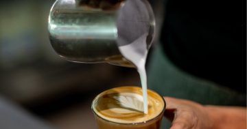 Poisoned chalice? The negative impact of your morning coffee