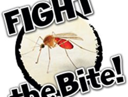Mass of mosquitos prompt ‘Fight the Bite’