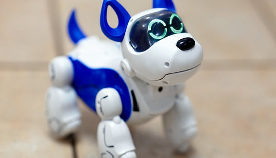 Is it OK to kick a robot dog?