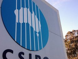 CSIRO waves plan to improve culture