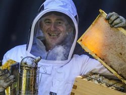 End of pests has beekeepers buzzing