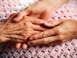 Canberrans invited to shape end-of-life law