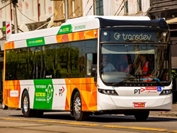 All-electric buses showing power ahead