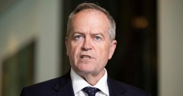 Public service too policy-focused when it comes to IT, says Shorten