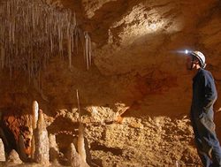 Naracoorte Caves shine for the month