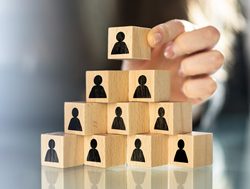 Why hierarchies in organisations aren’t all bad
