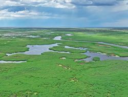 DPE project to save critical wetland