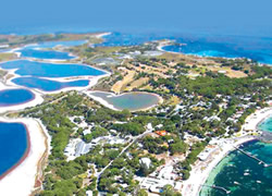 Draft Rottnest plan out for island’s future