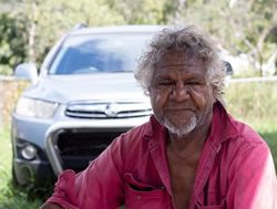 Survey to collect Indigenous buying plans