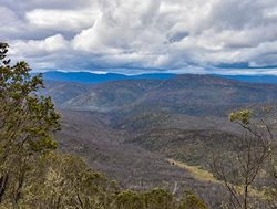 Feedback invited with new plans for Namadgi