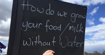 Fears supermarket food costs will rise as irrigators face massive price hike for water by 2030