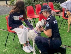 Canine companions an aid for young people