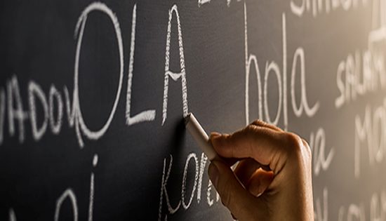 New language policy for public sector