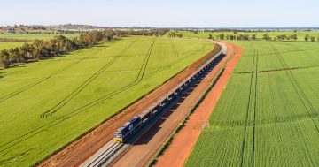 Troubled Inland Rail project starts oversight process to getting back on track