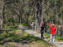 ACT parks surveyed to capture experience