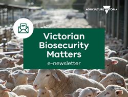 Agriculture Vic launches new newsletter
