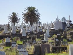 Cemeteries facing up to grave shortage