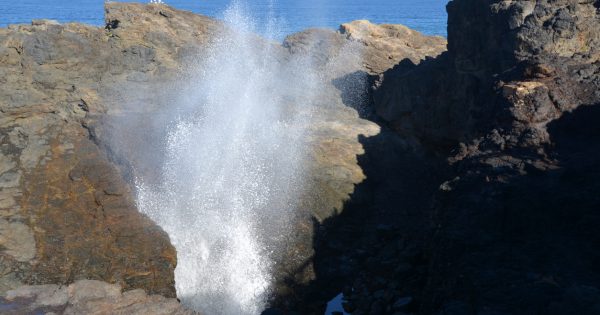 Kiama's rock fishing hotspots to trial remote, AI surveillance