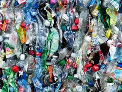Photo competition to end plastic waste