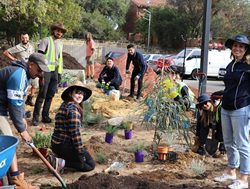 Public housing gardeners get to work
