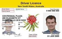 Overseas drivers line up for licences
